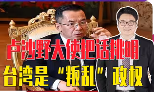 卢沙野大使把话挑明，台湾是“叛乱”政权，随时可以把它赶出去