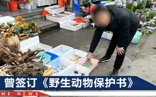 昆明一摊主售卖国家二级保护野生动物被拘：已卖30多条，1条10元