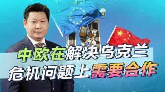 中国有可能与欧盟就政治解决乌克兰危机达成“共识”吗？
