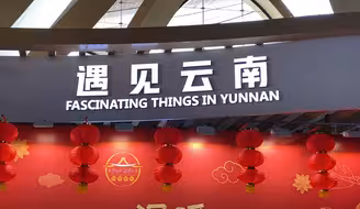 春节前夕，来自云南金平县和麻栗坡县的孩子们应邀赴西安游学，来听听他们的感受