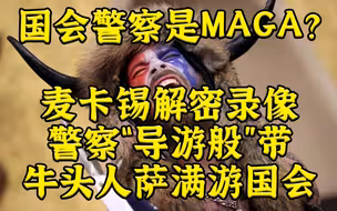 MAGA翻案：录像显示牛头人萨满冲国会是警察“导览”的