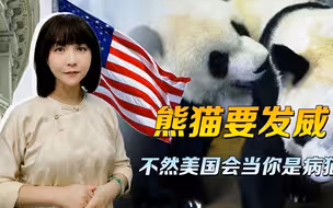 旅美国宝的遭遇，提醒着我们，熊猫要发威，不然美国会当你是病猫