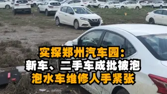 实探郑州汽车园：新车、二手车成批被泡，泡水车维修人手紧张