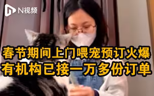 春节上门喂宠服务需求猛增，有机构订单较去年增长三至四倍