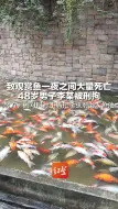 致观赏鱼一夜之间大量死亡 48岁男子李某被刑拘 警方：因对同行不满把杀虫剂倒入鱼池