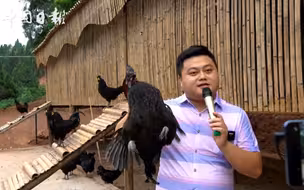 直播带货？村支书张口就来