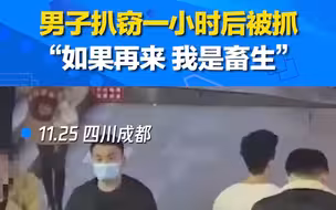 男子扒窃手机后一小时被抓高呼：佩服成都速度，我不会再来了