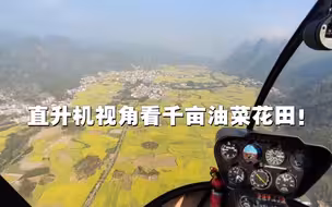 真高空视角！跟小新坐直升机观赏千亩油菜花田！