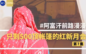 独家 | 下雪了，阿富汗妇孺来国际组织找吃的，找到了吗？