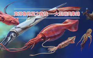 克苏鲁的星之眷族—大型蛸类集锦