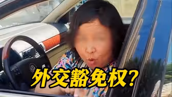 违停、辱骂他人还叫嚣有“外交豁免权”？亚太空间合作组织秘书长道歉