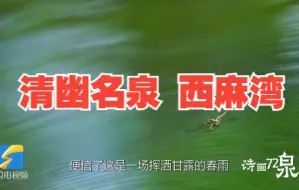 西麻湾｜万壑争流 众泉成湾 这城之郊野始终静泊着清幽的向往