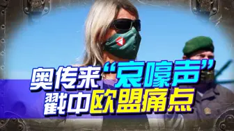 奥传来“哀嚎声”，戳中欧盟痛点：能源危机加剧，恐要垮在乌前面