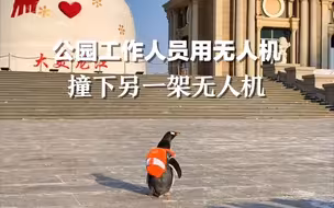 公园里工作人员用无人机撞下另一架无人机，目击者：一直在企鹅旁边乱晃