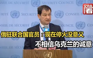 俄驻联合国官员：现在停火没意义，不相信乌克兰的诚意。