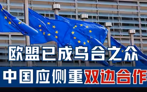 欧盟已成乌合之众，中国应侧重双边合作，与法国合作正是必要所在