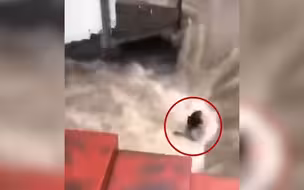 感谢有你们！女子被积水瞬间冲进水坑，周围群众合力拉绳将其救出