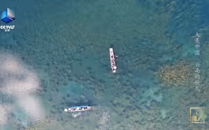 秋日泸沽湖里的水藻和鱼群清晰可见