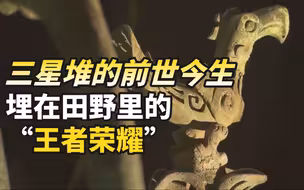 三星堆的前世今生之埋在田野里的“王者荣耀”