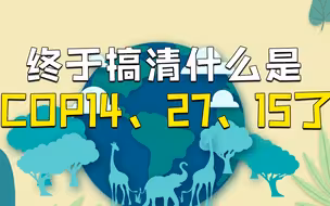 看了这个视频，终于搞清楚COP14、15、27了