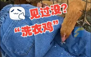 萌娃吃了一身饭 宝妈机智求助鸡崽 网友：不费电的“洗衣鸡”