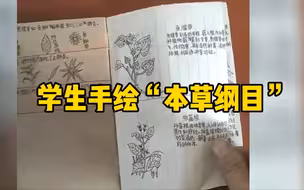 爸爸检查儿子书包发现手绘版“本草纲目”：会支持他的爱好，成绩不是唯一的评判标准