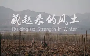 藏起来的风土