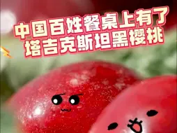 #2023年塔吉克斯坦向中国出口樱桃30余吨 #中国百姓餐桌上有了塔吉克斯坦黑樱桃