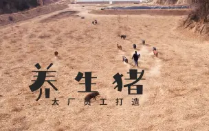 段子照进现实？杭州小伙居然放下电脑，到黄土高原当“黑猪网管”