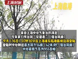 “贝碧嘉”登陆上海浦东临港新城沿海，为75年来登陆上海最强台风！登陆时中心附近最大风力14级