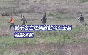 数十名在法训练的乌军士兵被曝逃跑