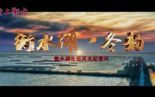 【优秀纪录片展播】衡水湖▪冬韵