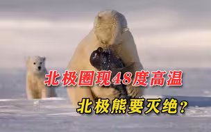 灾难降临！北极圈出现48度高温，末日种子库漏水，北极熊将灭绝？