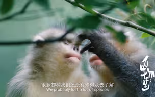 《万物之生》，在人们与自然和谐、有趣的相处方式背后，是“生态兴则文明兴”、“绿水青山就是金山银山”的时代表达。