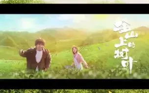 热血青年返乡创业，不负青春一路生花