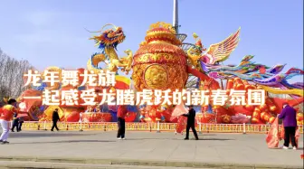 龙年舞龙旗 龙马精神活力飞扬