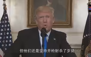 特朗普谈国会议员遭枪击：人人都有爱国心