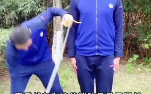 拍摄森林防火宣传视频时 