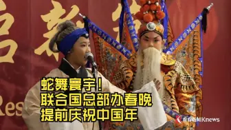 蛇舞寰宇！联合国总部办春晚 提前庆祝中国年