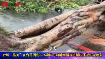台风“格美”在台首例伤亡，高雄老妇遭倒塌行道树压住无生命迹象