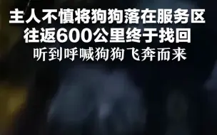 主人不慎将狗狗落在服务区，往返600公里终于找回，听到呼喊狗狗飞奔而来