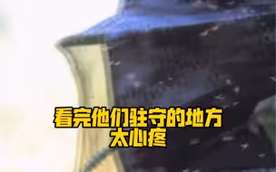 死蚊虫要用脸盆装！看完他们驻守的地方，太心疼！