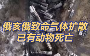 致命气体扩散！俄亥俄有居民眼睛灼痛 溪流出现死鱼 记者发布会直播被粗暴逮捕
