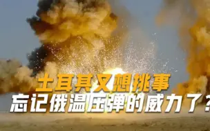 俄罗斯温压弹实力有多强被其打击后，相关区域已经无生命迹象