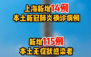 12月12日（0-24时）上海新增本土新冠肺炎确诊病例14例，新增本土无症状感染者115例