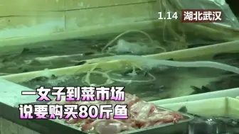 80斤鱼300斤猪肉！女子“不花一分钱”备年货？