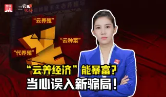 三农锐评丨 “云养经济”能暴富？当心误入新骗局！