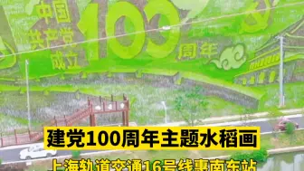 浦东稻田呈现巨幅建党100周年主题水稻画 #奋斗百年奔赴美好