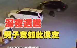 男子深夜偶遇4头狗熊街头闲逛：来觅食的，习以为常了