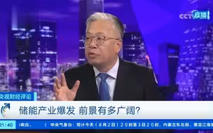 刘戈：储能产业链已充分成熟